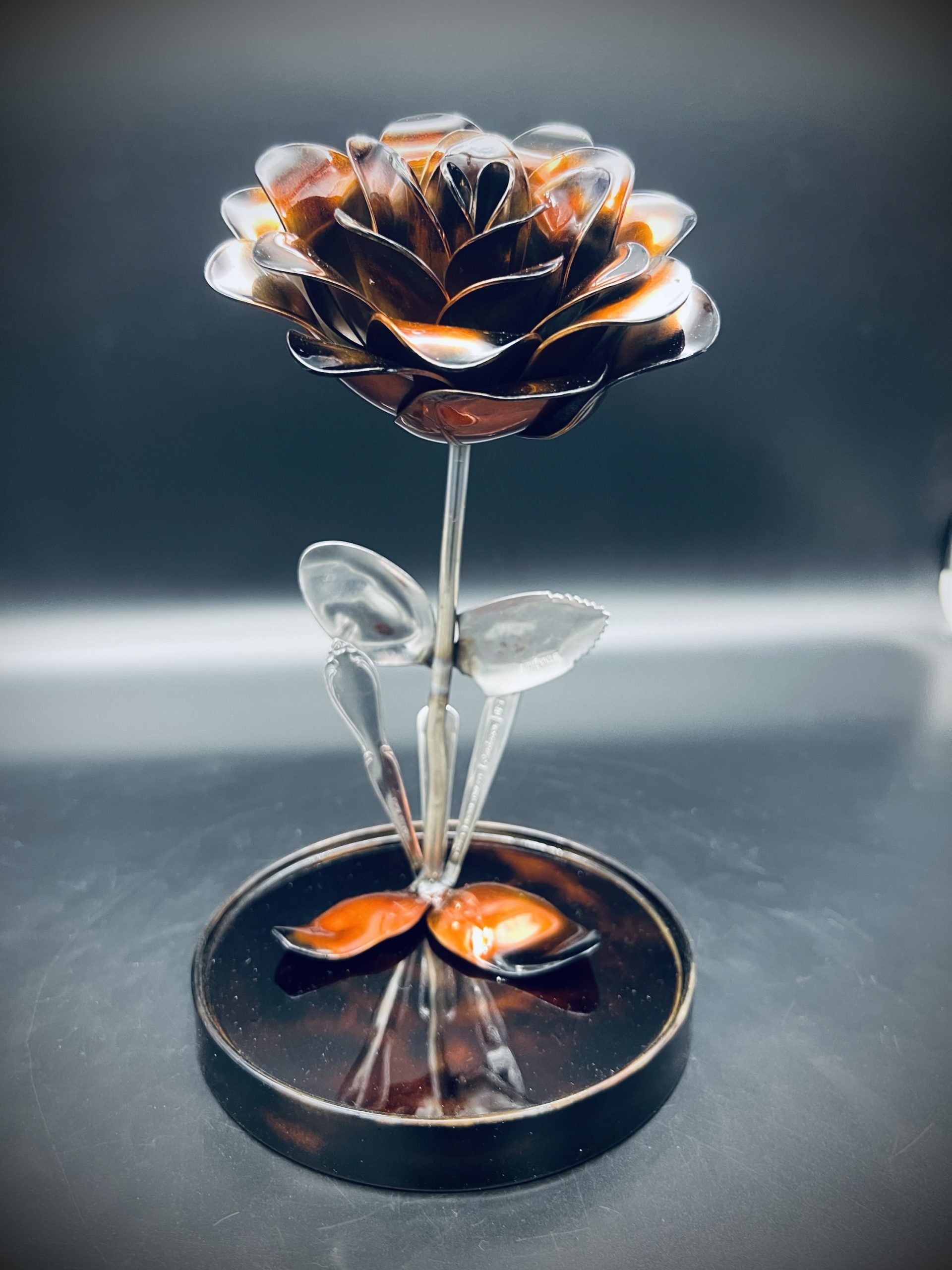 Flower, Rose, Wilting (Flagstaff)