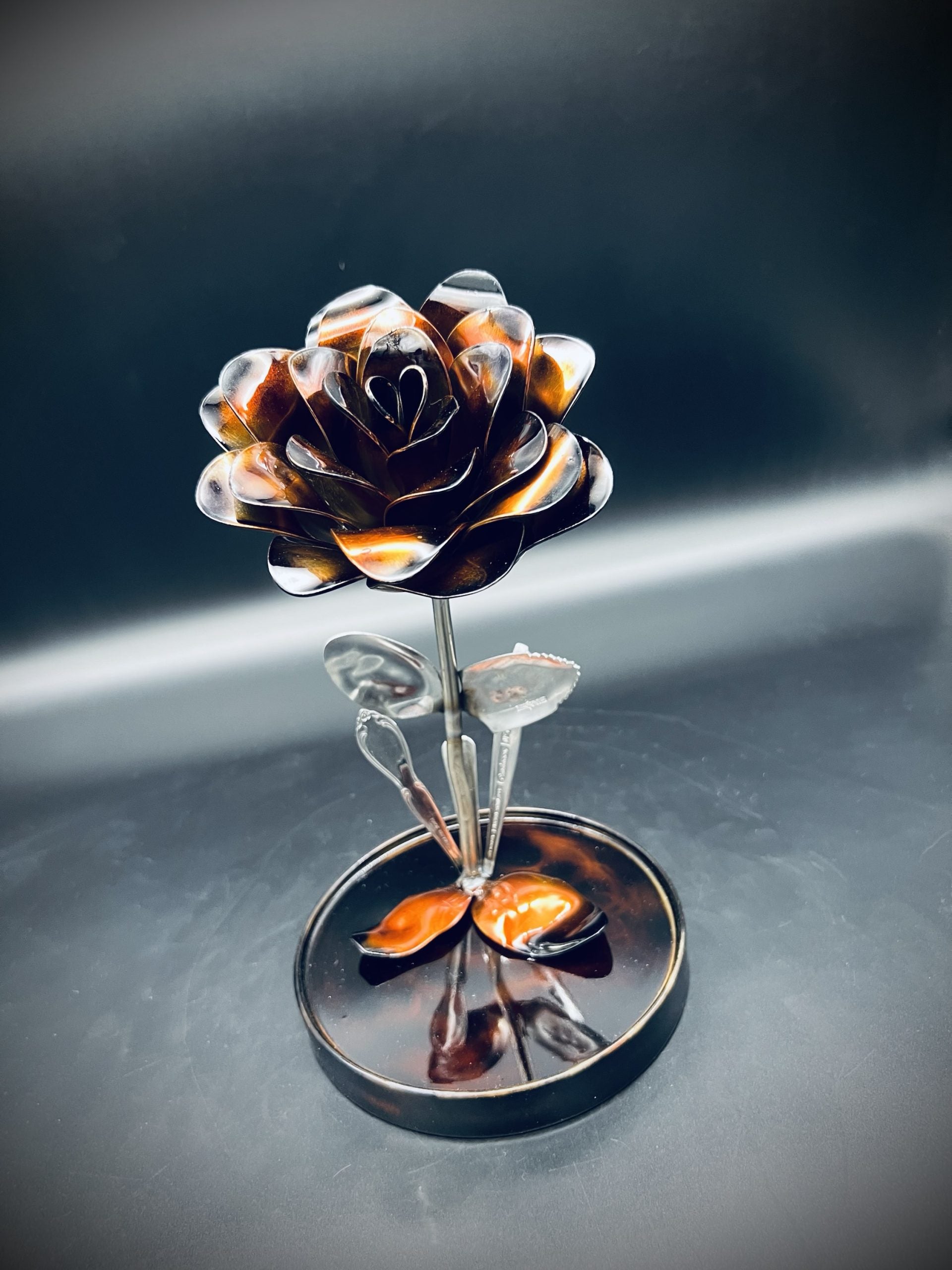 Flower, Rose, Wilting (Flagstaff)