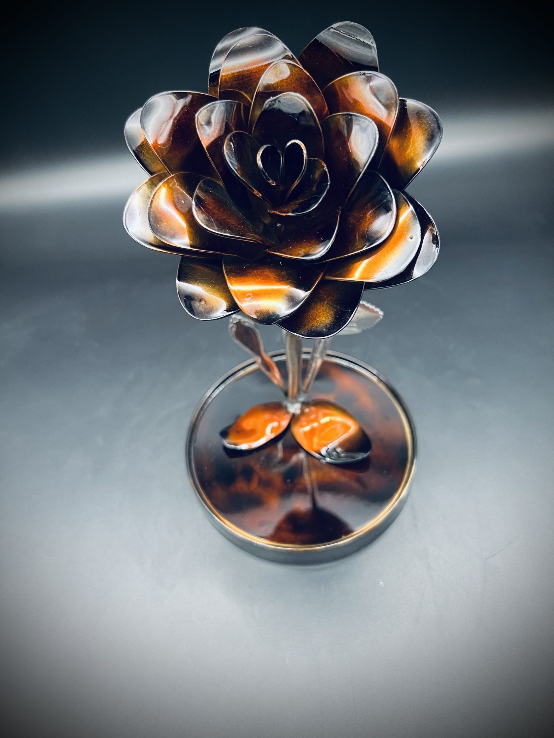 Flower, Rose, Wilting (Flagstaff)