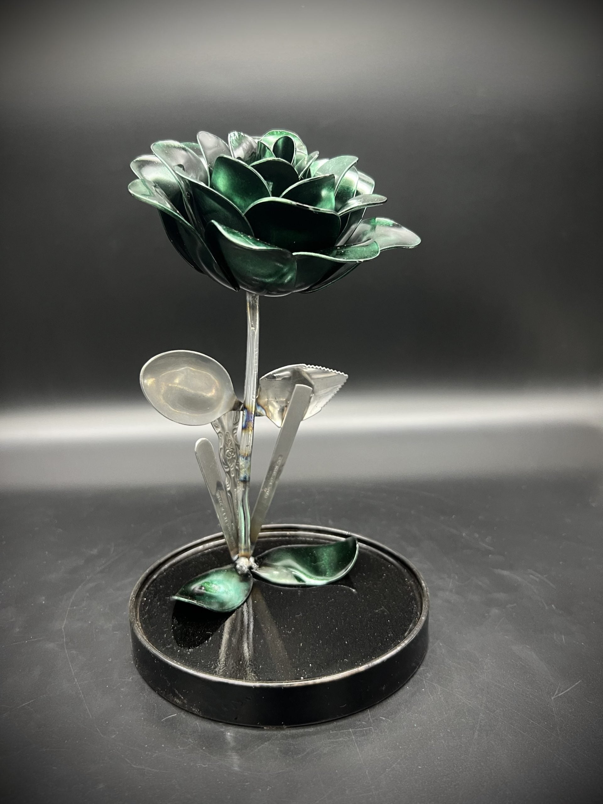 Flower, Rose, Wilting (Nogales)