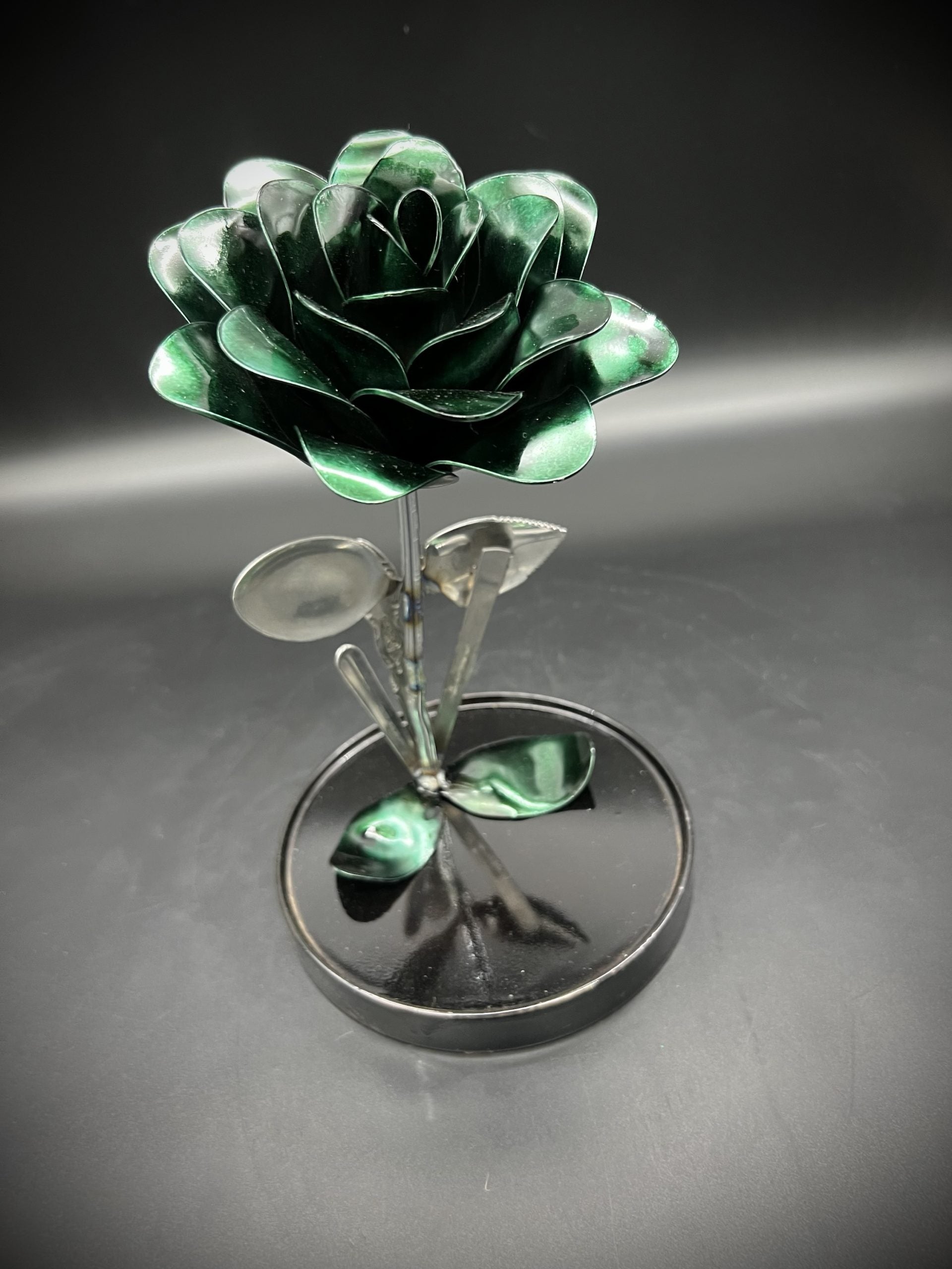 Flower, Rose, Wilting (Nogales)
