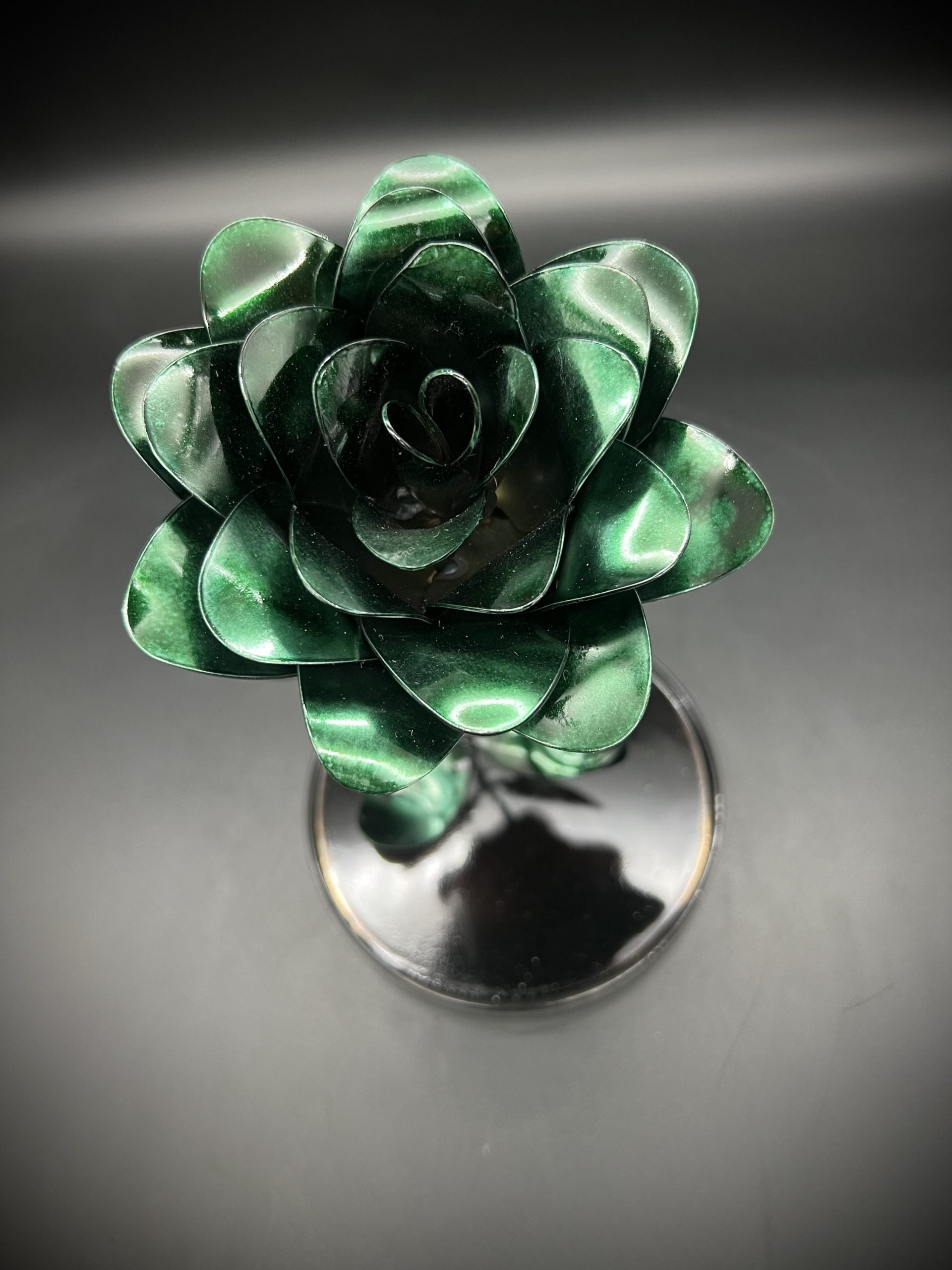 Flower, Rose, Wilting (Nogales)