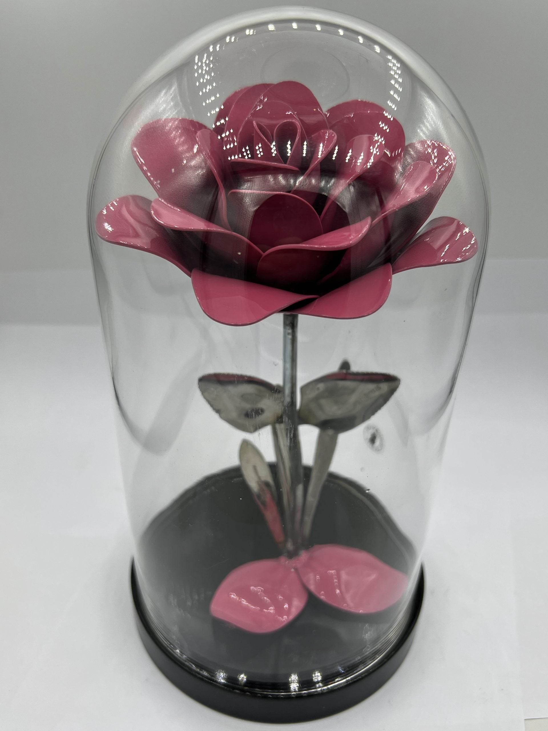 Flower, Rose, Wilting (Winslow)