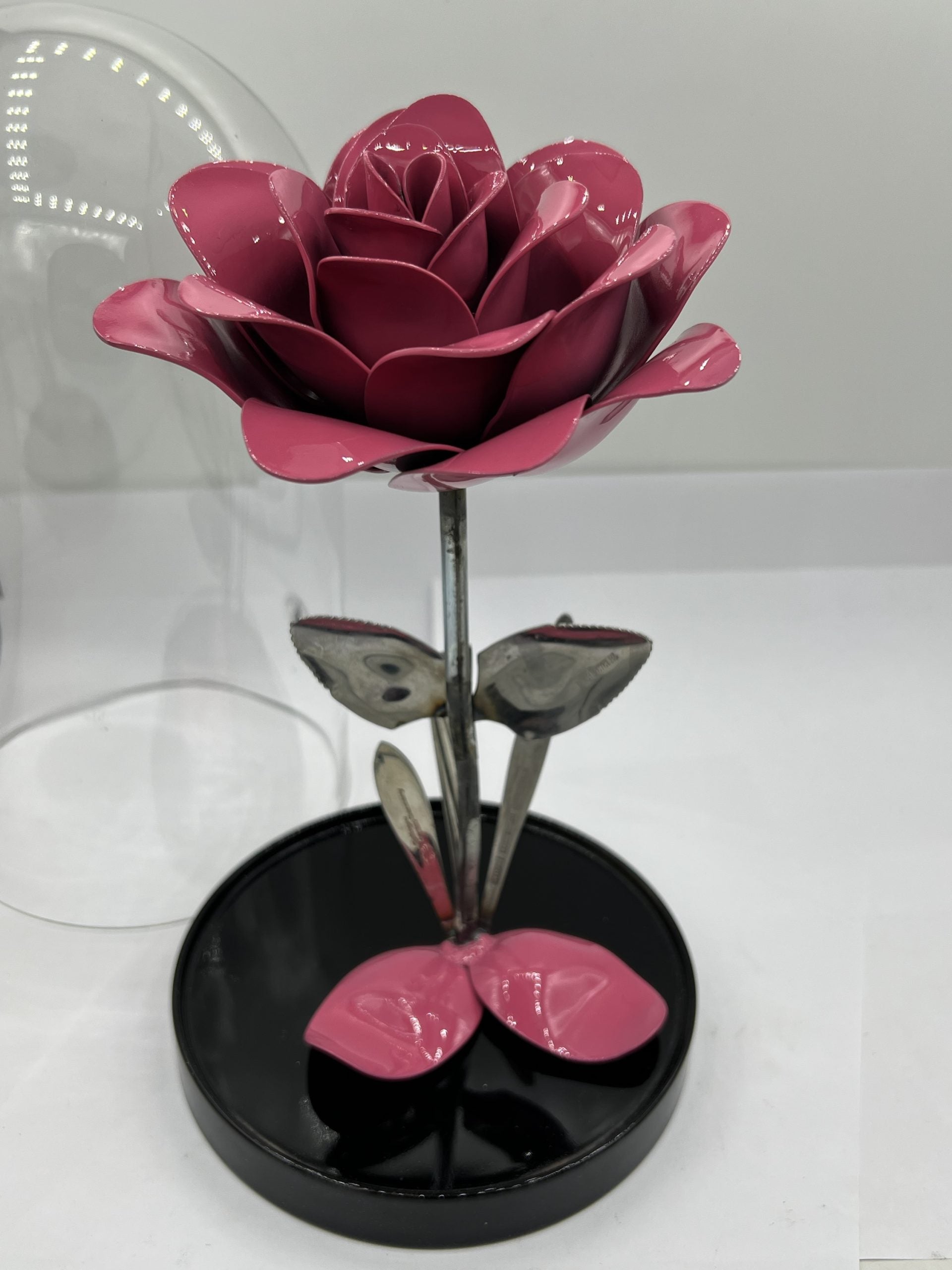 Flower, Rose, Wilting (Winslow)