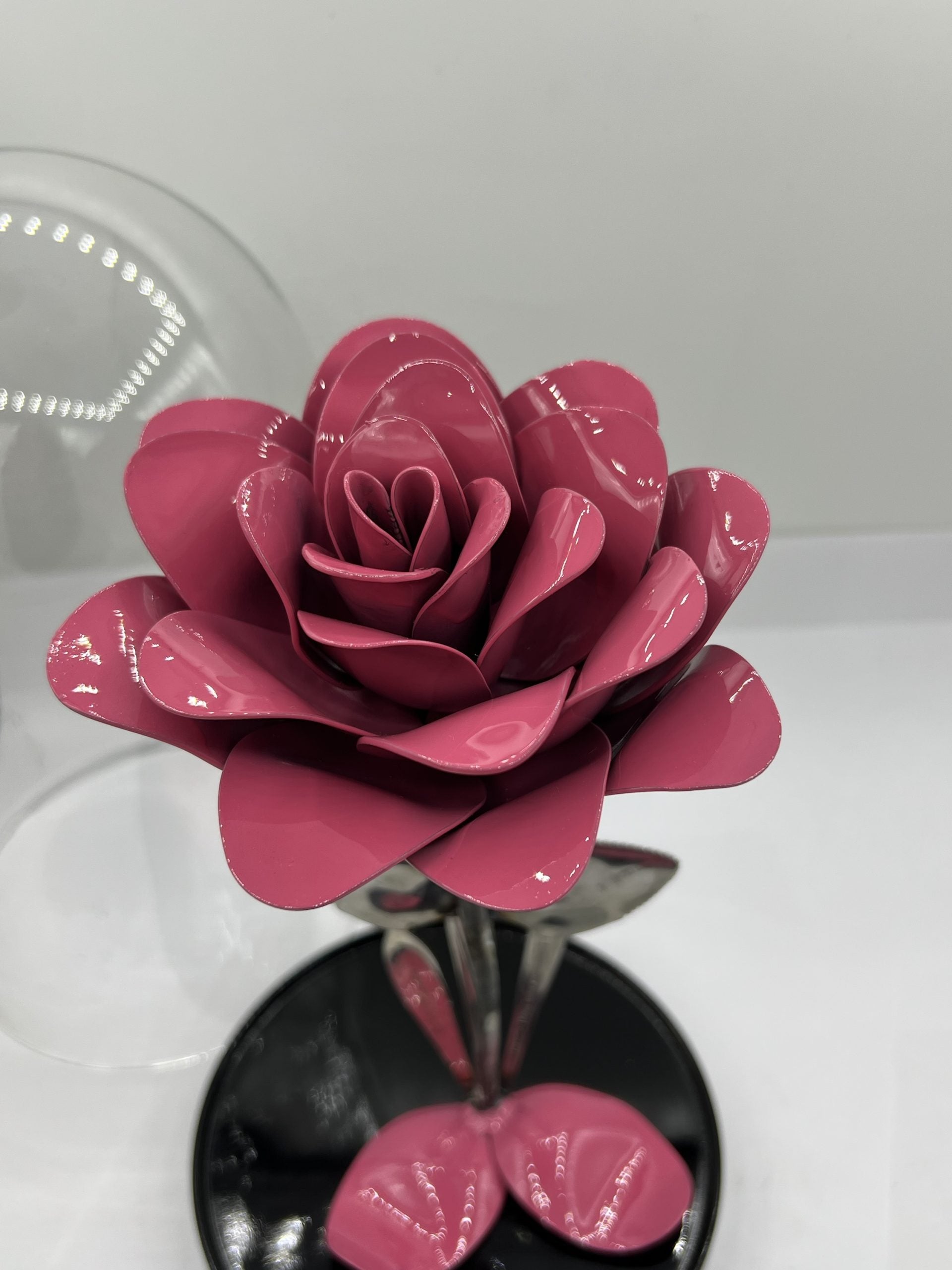 Flower, Rose, Wilting (Winslow)