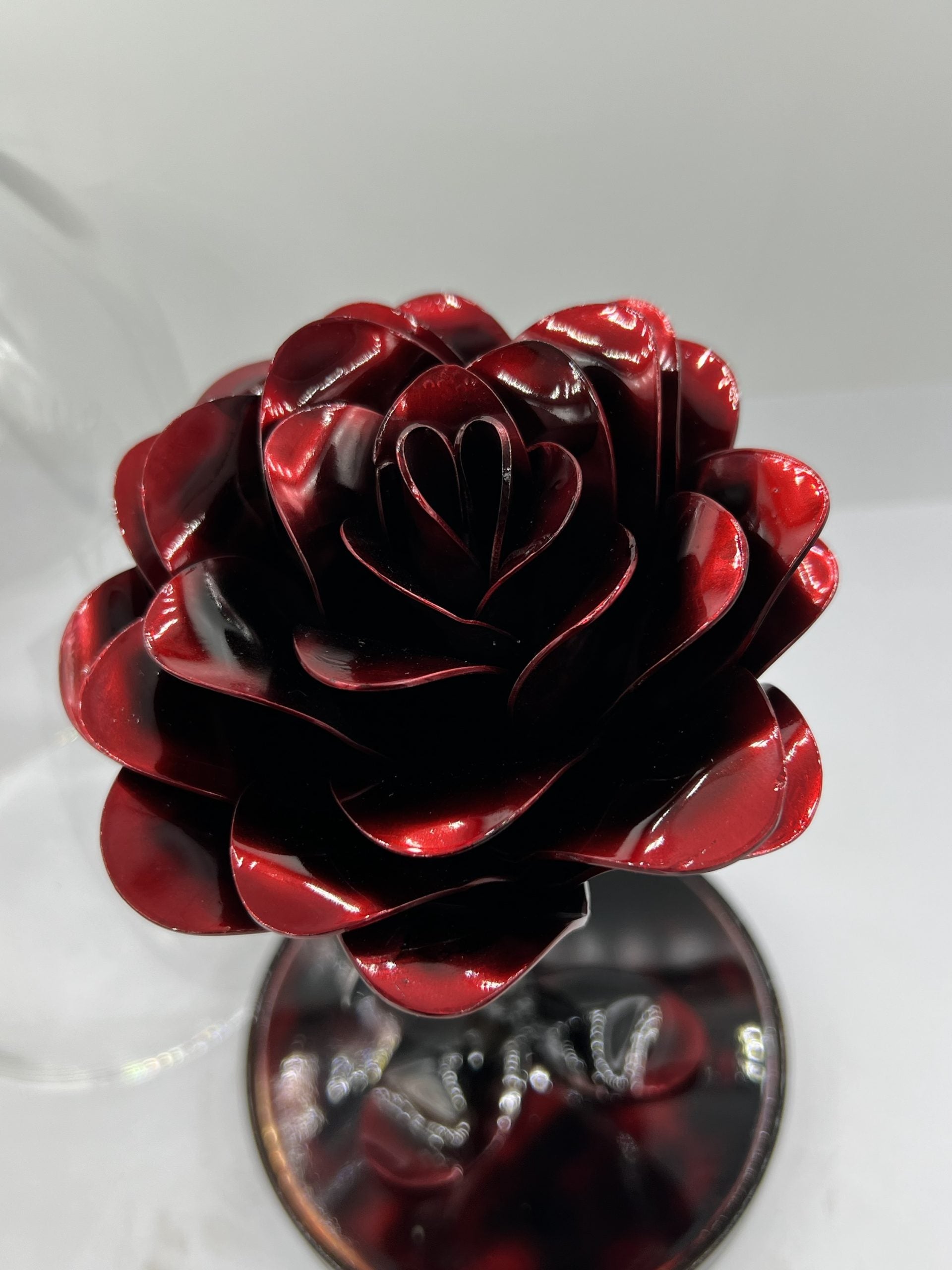 Flower, Rose, Wilting (Yuma)