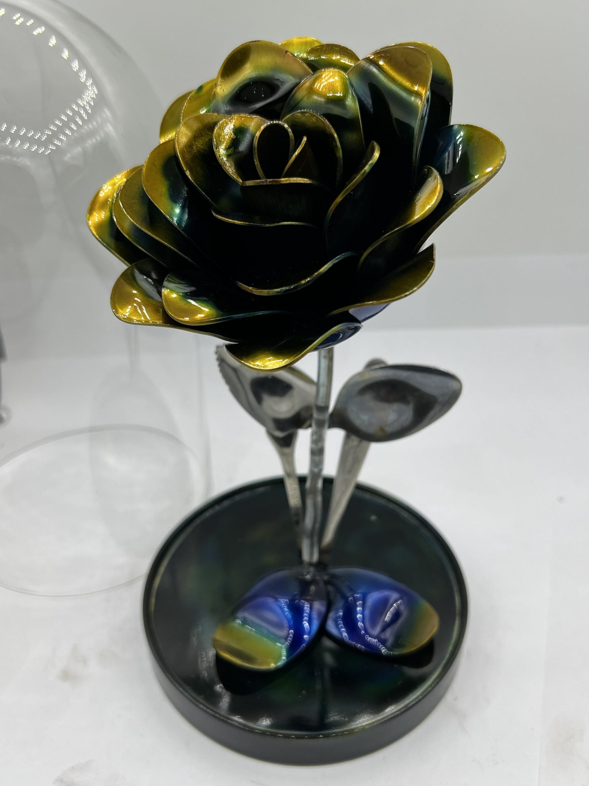Flower, Rose, Wilting (Scottsdale)
