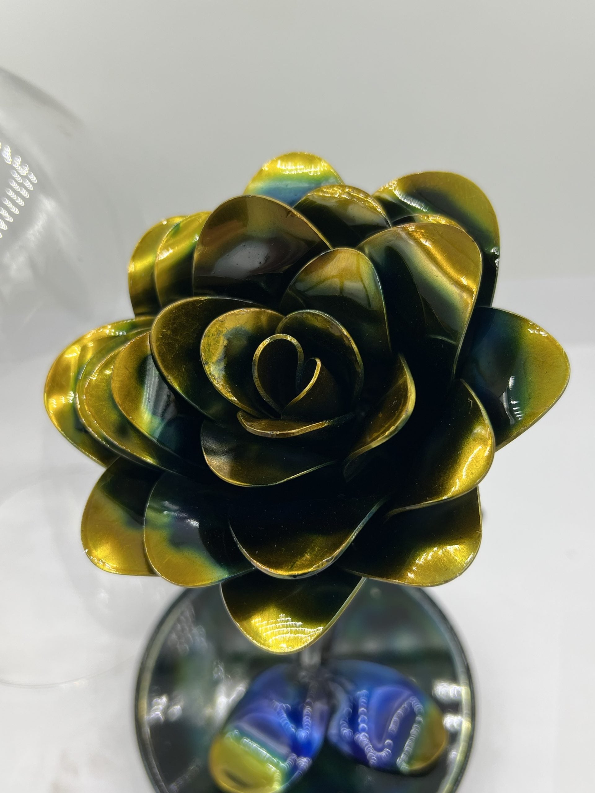 Flower, Rose, Wilting (Scottsdale)