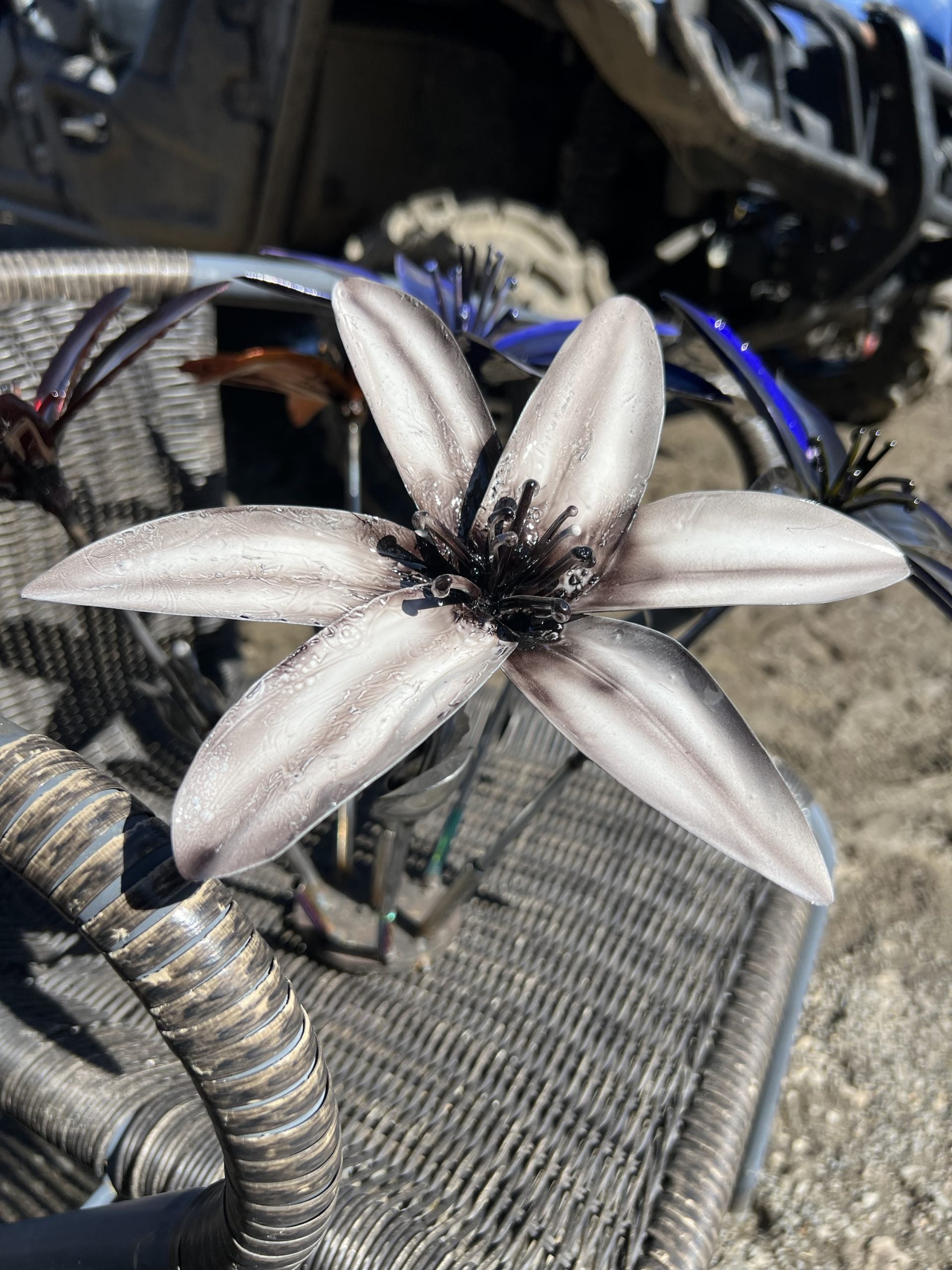 Flower, Lily, Stemmed (Florence)