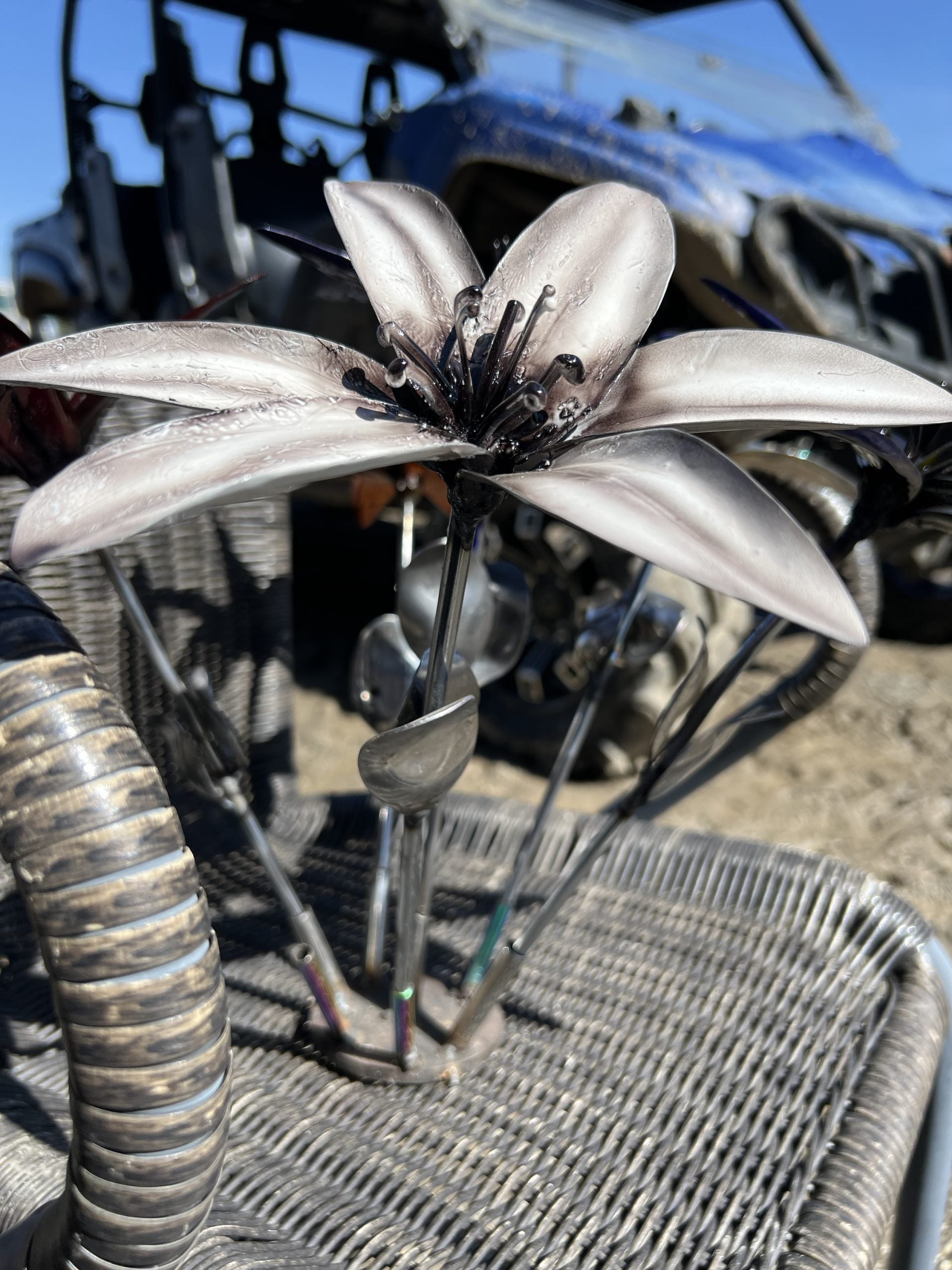 Flower, Lily, Stemmed (Florence)