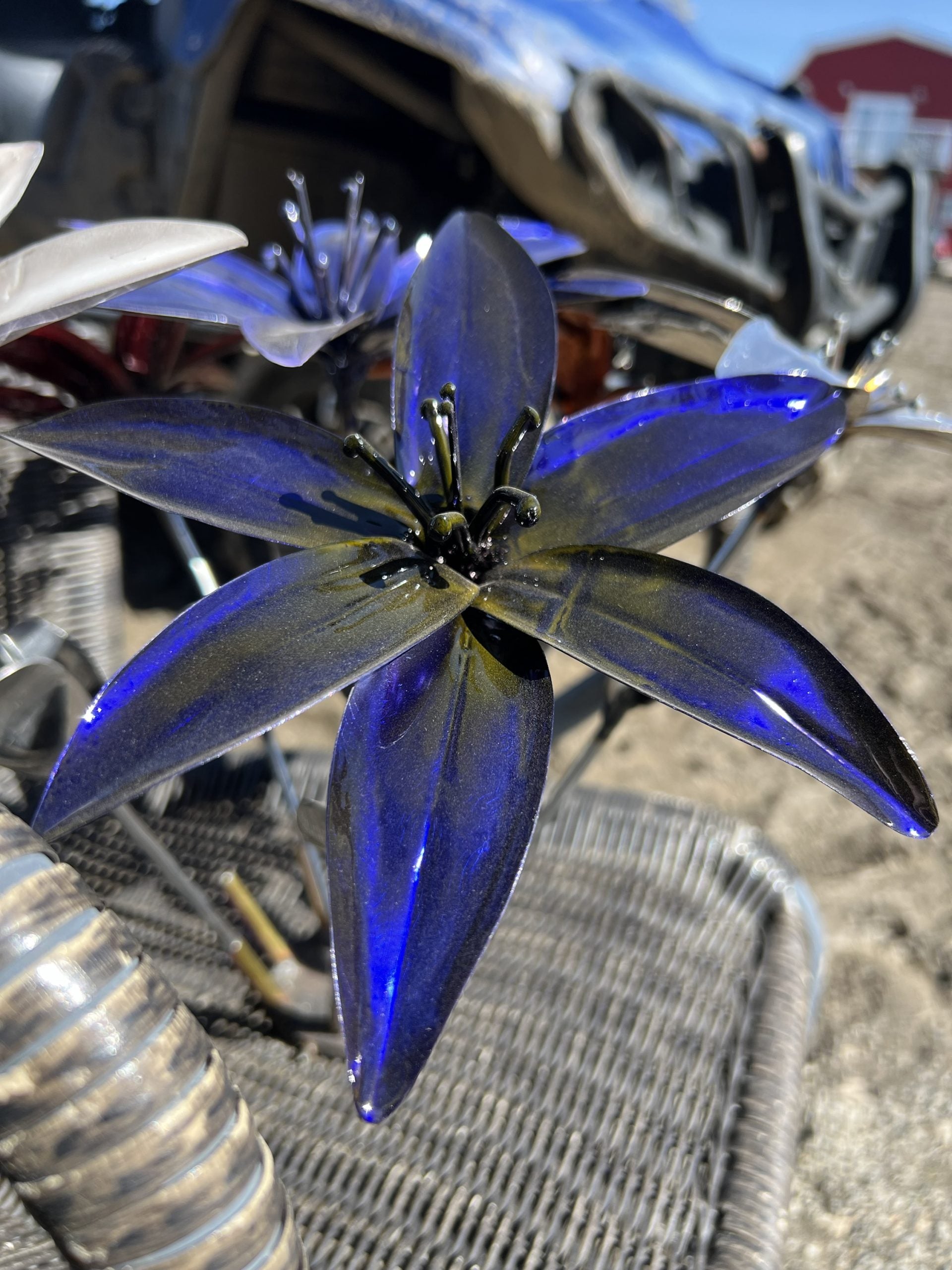 Flower, Lily, Stemmed (Havasu)