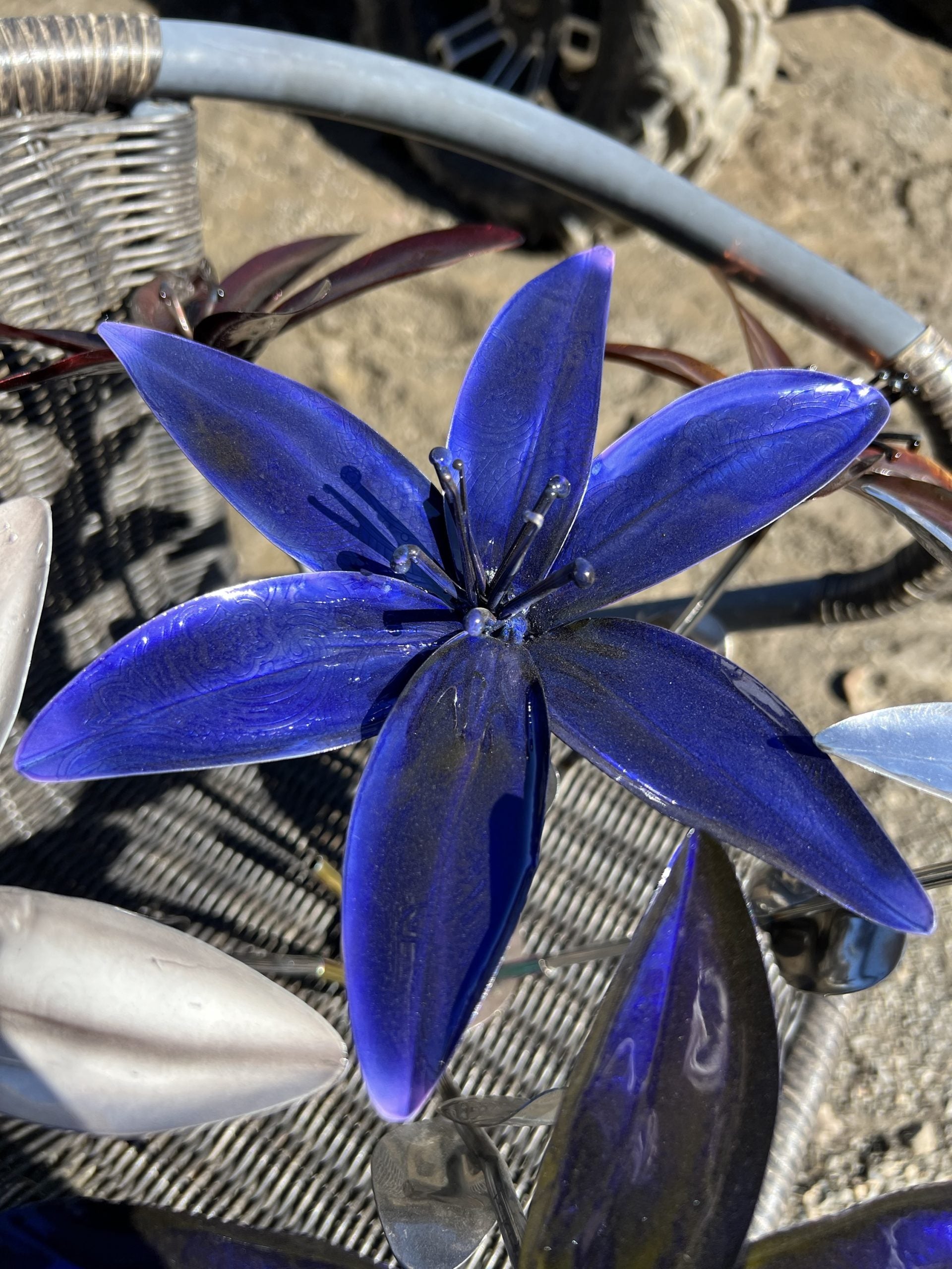 Flower, Lily, Stemmed (Havasu)