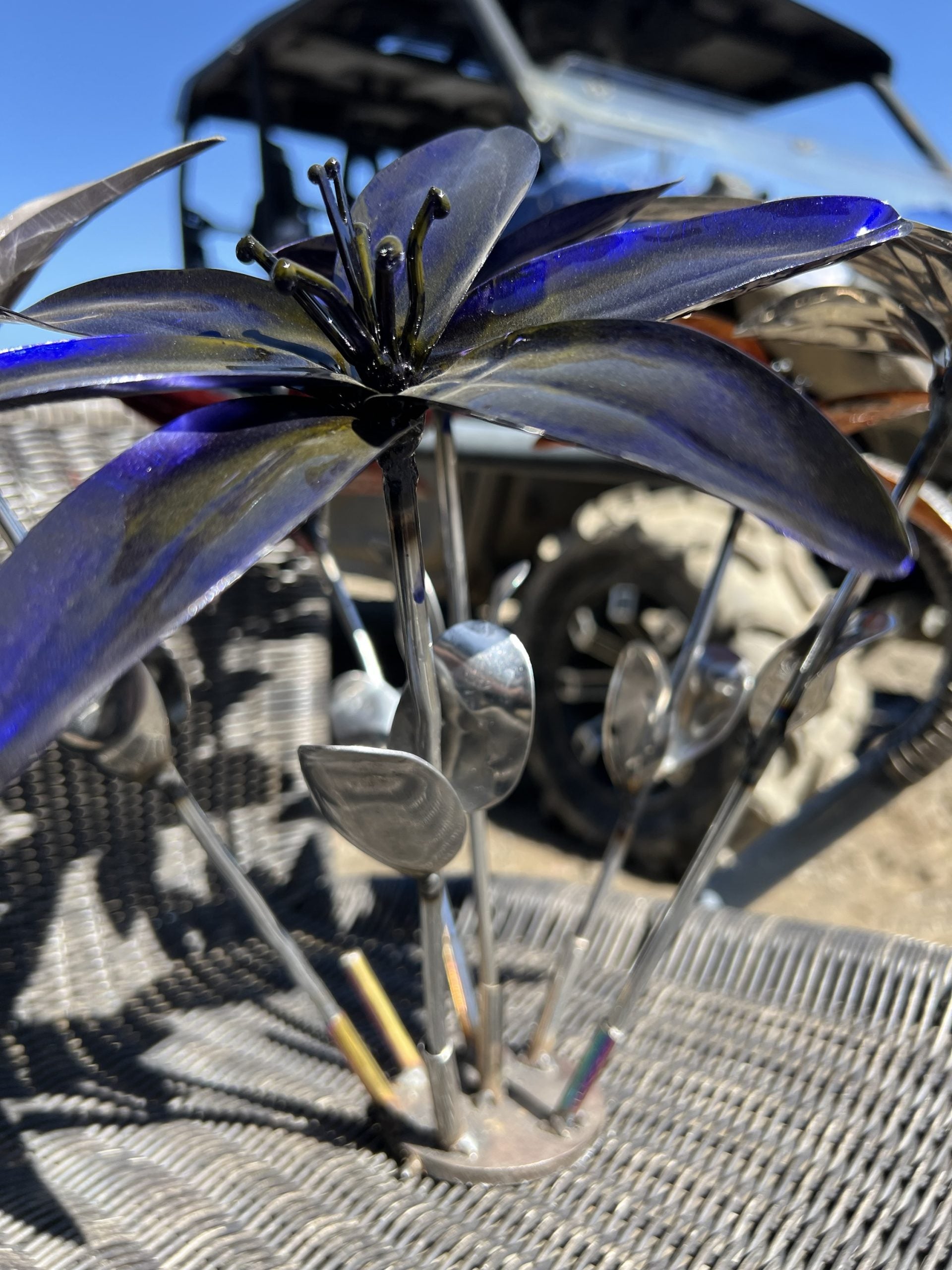 Flower, Lily, Stemmed (Havasu)