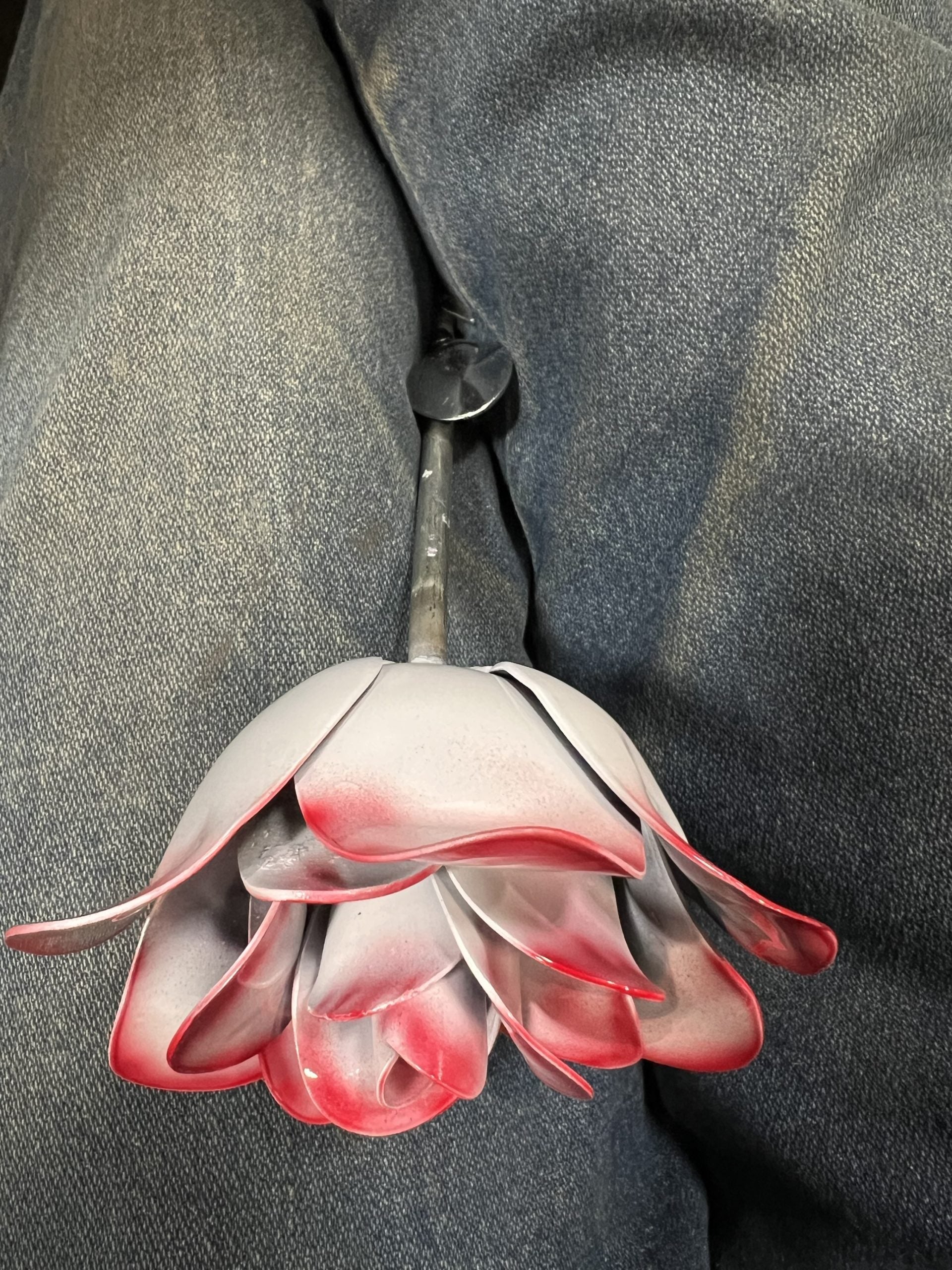 Flower, Rose, White with Red Tips